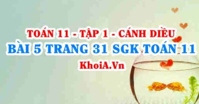 Bài 5 trang 31 SGK Toán 11 tập 1 Cánh Diều